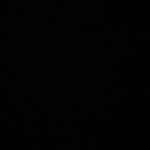 Meet your Posher, Diego